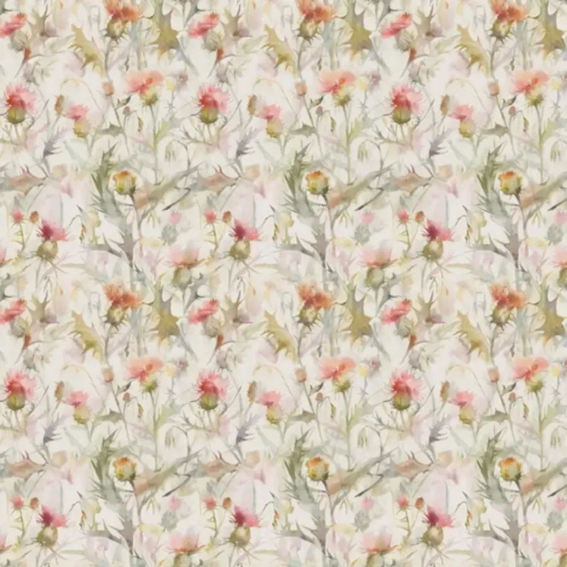 Cirsium Cream Russett (VO)